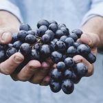 food-donate